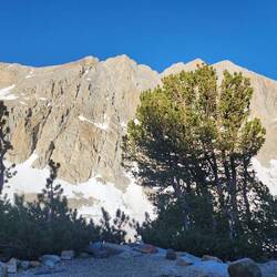 View from my tent in the morning