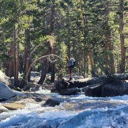 We come up with some interesting ways to cross streams