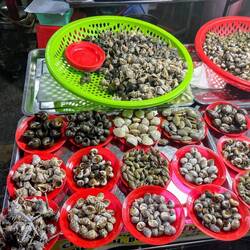 Schneckensortiment für Gourmets