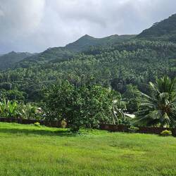 Taipivai Valley, where Melville lived for several weeks.