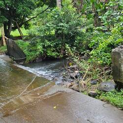 Crossing a stream.