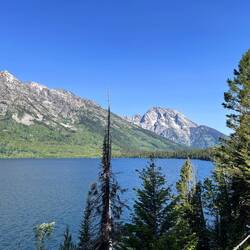 Jenny Lake
