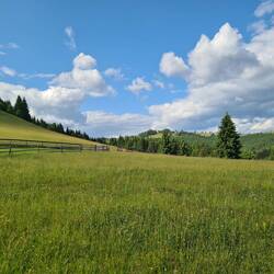 Auf der Pilzrunde