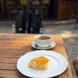 Lecker Pfirsich Kuchen