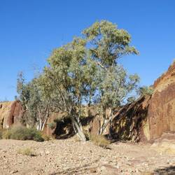 Ochre Cliffs