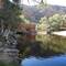 Ormiston Gorge