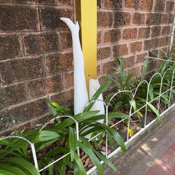 One of the first things we saw was an upturned mannequin leg.