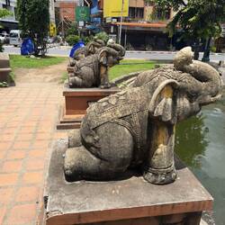 Elephants overlooking the moat near Thapae Gate.