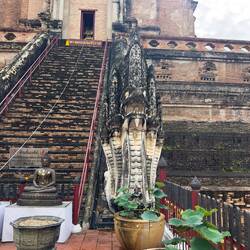 Wat Chedi Luang.