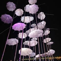 Umbrellas, just a five minute walk from apartment