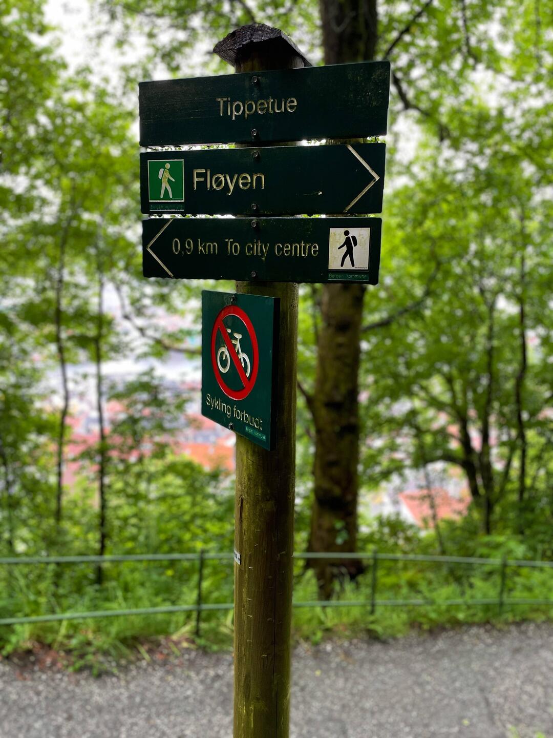 Heute geht es den Floyen hinauf