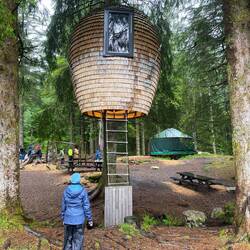 in der Baumhöhle Konglen kann man übernachten