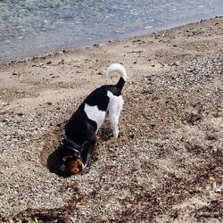 Typische Dansky-Haltung! 🤣