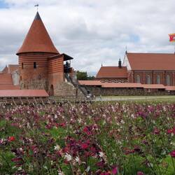 Burg Kaunas