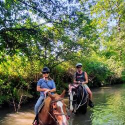 It was lovely walking through the river
