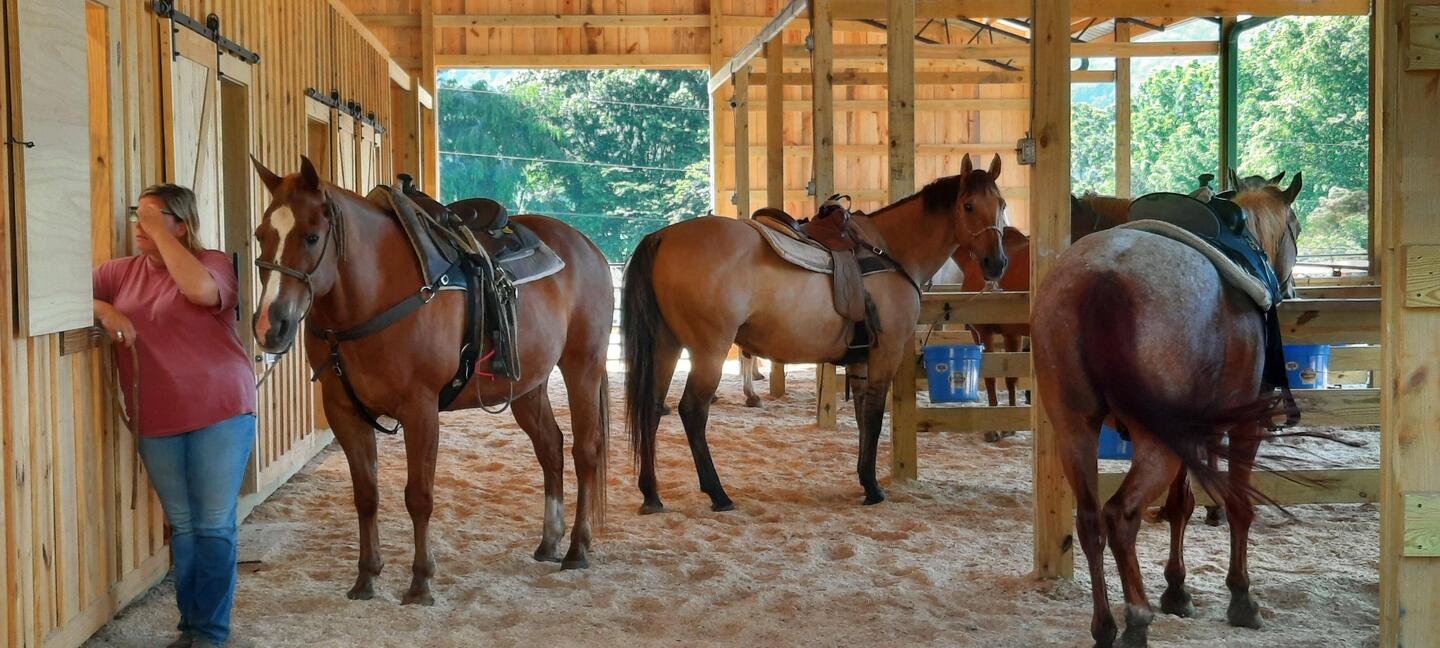 Back at the barn after our ride