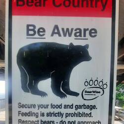 Black Bear country