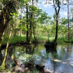 ....und Pausenplätze.