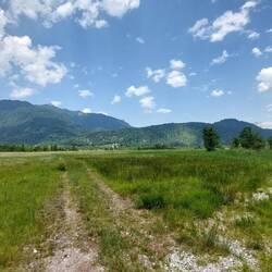 Große Moorgebiete an der Loisach.