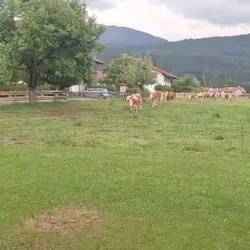 Kurz darauf geht's auch hier los!🙄