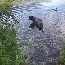 ....und damit Abkühlung für Frodo..