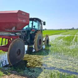 De typische tractorwielen voor de rijstteelt.