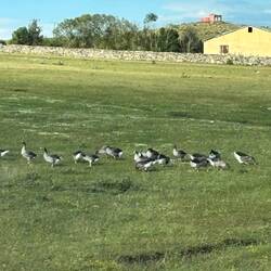 da Lehmann jetzt Freude dran