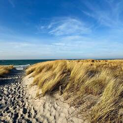 Schöner geht's nicht!