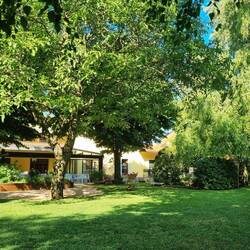 Perfekter Ort für den Blogbeitrag: der kühle Garten des Hotels Pesek