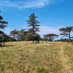 Es duftet so gut nach Ferien in mediterranem Klima!