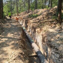Auch das gibt's! Der Wanderweg führt linksseitig vorbei.