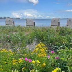 Blick vom Kurpark auf die Ostsee