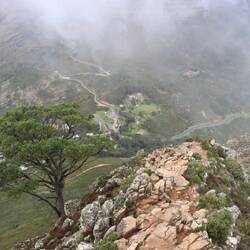 Oben angekommen ziehen Wolken und Nebel für einen kurzen Augenblick davon...