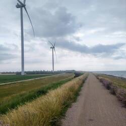 Windräder haben heute gut Strom erzeugt