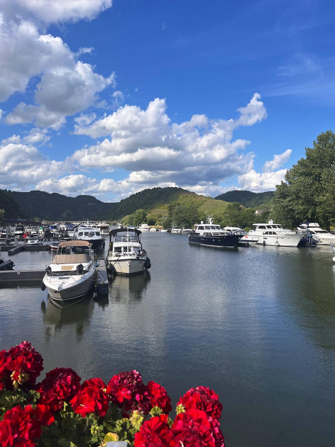 Solaris in der Marina Mosel Islands Treis-Karden
