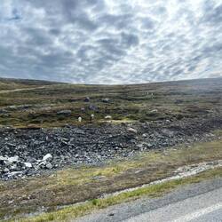 Und könnt ihr die Rentiere erkennen? Ohne Geweih sehen sie tatsächlich etwas komisch aus