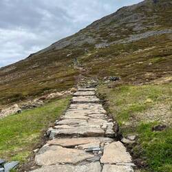 Bis ganz da hoch...🥵