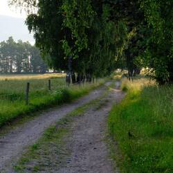 Rüttelpiste zum See