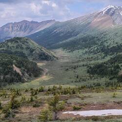 Der Rückweg führt durch diese Senke ...
