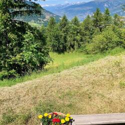 Bank mit blumiger Aussicht