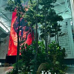 Einfach ein Mini Wald mit Rehen... auf dem Flughafen!