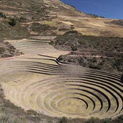 Moray
