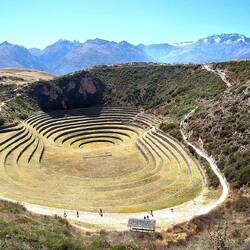 Moray