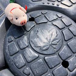 Proud Canadians 🇨🇦