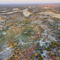 Das Delta im Herbstlaub.