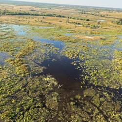 Ab Juni kommt das Wasser. Jeden Tag mehr, bis alles geflutet ist.