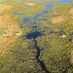 Hier sind die Kanäle zu sehen, die das Delta mit Okavangowasser fluten.
