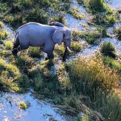 "Töröööö" auf Abendpatroullie