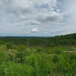Blick über die Ozark Mountains.