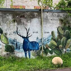 Fast eine Elchsichtung 😜